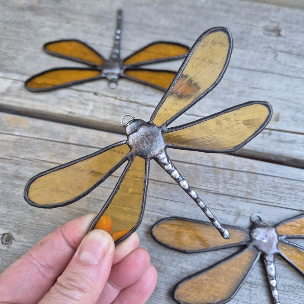 Motýlice sluneční